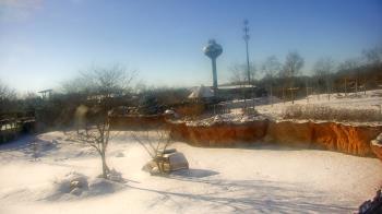 Weather camera view of Columbus Zoo and Aquarium.