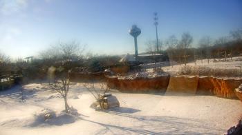 Weather camera view of Columbus Zoo and Aquarium.