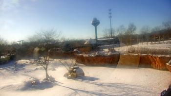 Weather camera view of Columbus Zoo and Aquarium.