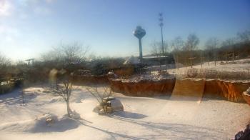 Weather camera view of Columbus Zoo and Aquarium.