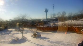 Weather camera view of Columbus Zoo and Aquarium.