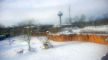 Weather camera view of Columbus Zoo and Aquarium.