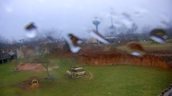 Weather camera view of Columbus Zoo and Aquarium.