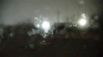 Weather camera view of Columbus Zoo and Aquarium.