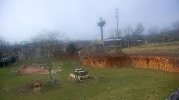 Weather camera view of Columbus Zoo and Aquarium.