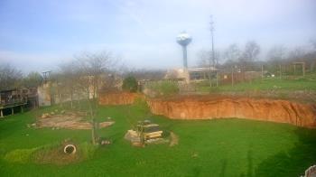 Weather camera view of Columbus Zoo and Aquarium.