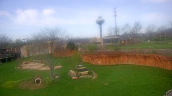 Weather camera view of Columbus Zoo and Aquarium.