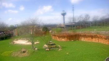 Weather camera view of Columbus Zoo and Aquarium.