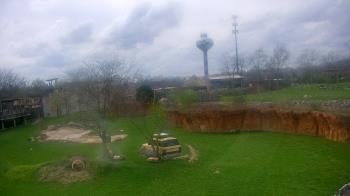 Weather camera view of Columbus Zoo and Aquarium.