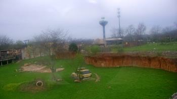 Weather camera view of Columbus Zoo and Aquarium.