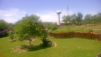 Weather camera view of Columbus Zoo and Aquarium.