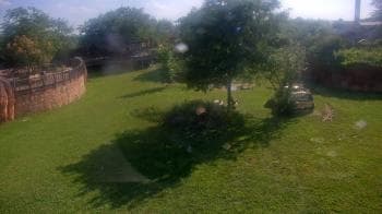 Weather camera view of Columbus Zoo and Aquarium.