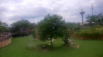 Weather camera view of Columbus Zoo and Aquarium.