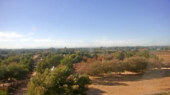 Weather camera view of Schnepf Farms.