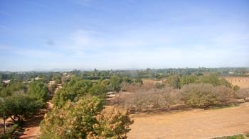 Weather camera view of Schnepf Farms.