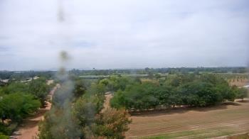 Weather camera view of Schnepf Farms.