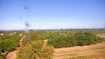 Weather camera view of Schnepf Farms.