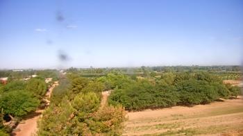 Weather camera view of Schnepf Farms.