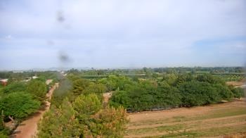 Weather camera view of Schnepf Farms.