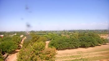 Weather camera view of Schnepf Farms.