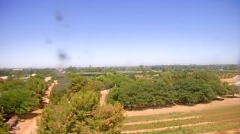 Weather camera view of Schnepf Farms.