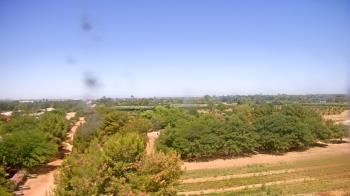 Weather camera view of Schnepf Farms.