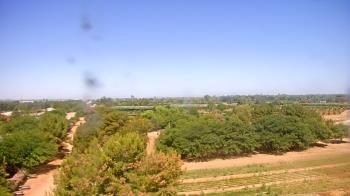 Weather camera view of Schnepf Farms.