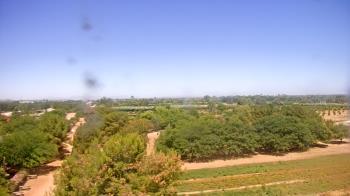 Weather camera view of Schnepf Farms.