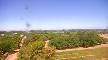 Weather camera view of Schnepf Farms.