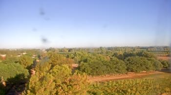 Weather camera view of Schnepf Farms.