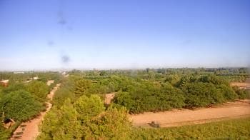 Weather camera view of Schnepf Farms.