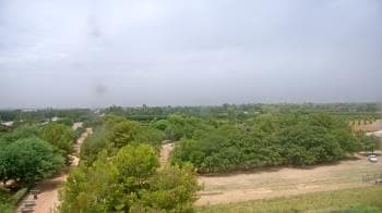 Weather camera view of Schnepf Farms.