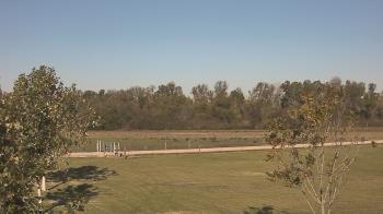 Weather camera view of Long Acres Ranch.
