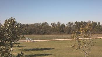 Weather camera view of Long Acres Ranch.