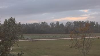 Weather camera view of Long Acres Ranch.