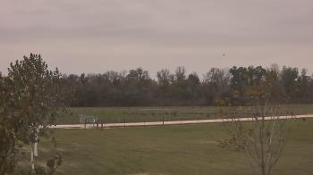 Weather camera view of Long Acres Ranch.