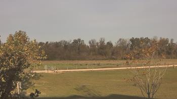 Weather camera view of Long Acres Ranch.