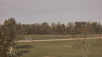 Weather camera view of Long Acres Ranch.