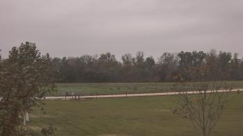 Weather camera view of Long Acres Ranch.