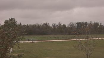 Weather camera view of Long Acres Ranch.