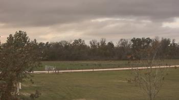 Weather camera view of Long Acres Ranch.