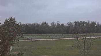 Weather camera view of Long Acres Ranch.