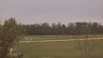 Weather camera view of Long Acres Ranch.