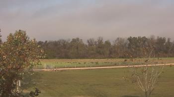 Weather camera view of Long Acres Ranch.