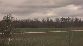 Weather camera view of Long Acres Ranch.