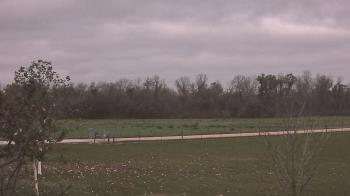 Weather camera view of Long Acres Ranch.