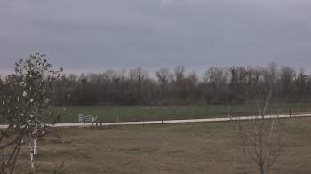 Weather camera view of Long Acres Ranch.