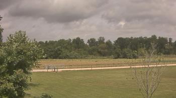 Weather camera view of Long Acres Ranch.