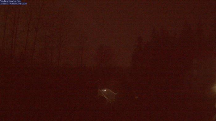 Weather camera view of The Overlake School.