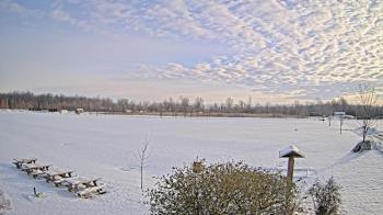 Weather camera view of Summit Road STEM Elementary.